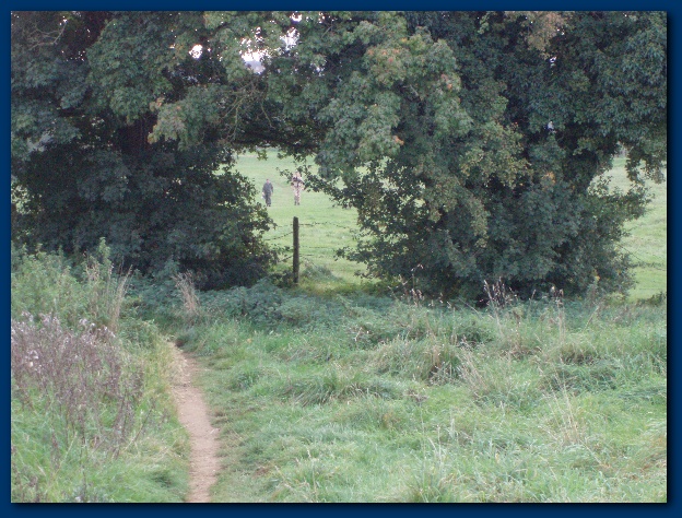 600x449 pixels (179K)